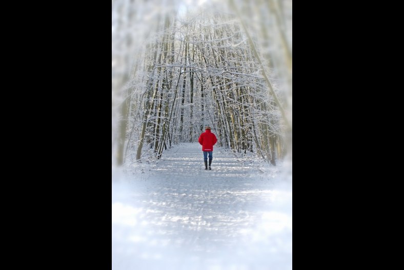 Red in the snow